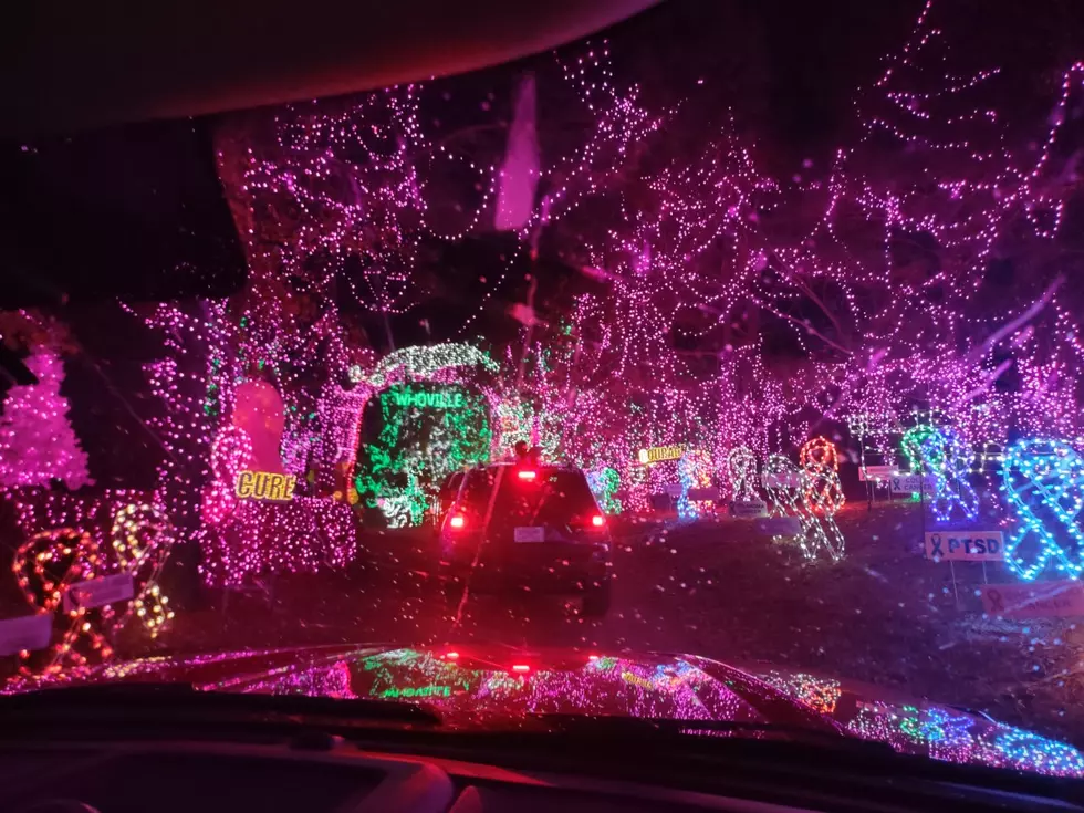 Stunning Sparkling Lights Carmela&#8217;s Magical Santa Land Now Open