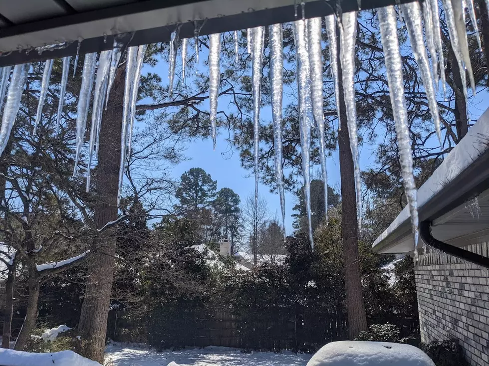 Snowmageddon 2021 - the melt a few days later 2 - JimWeaver