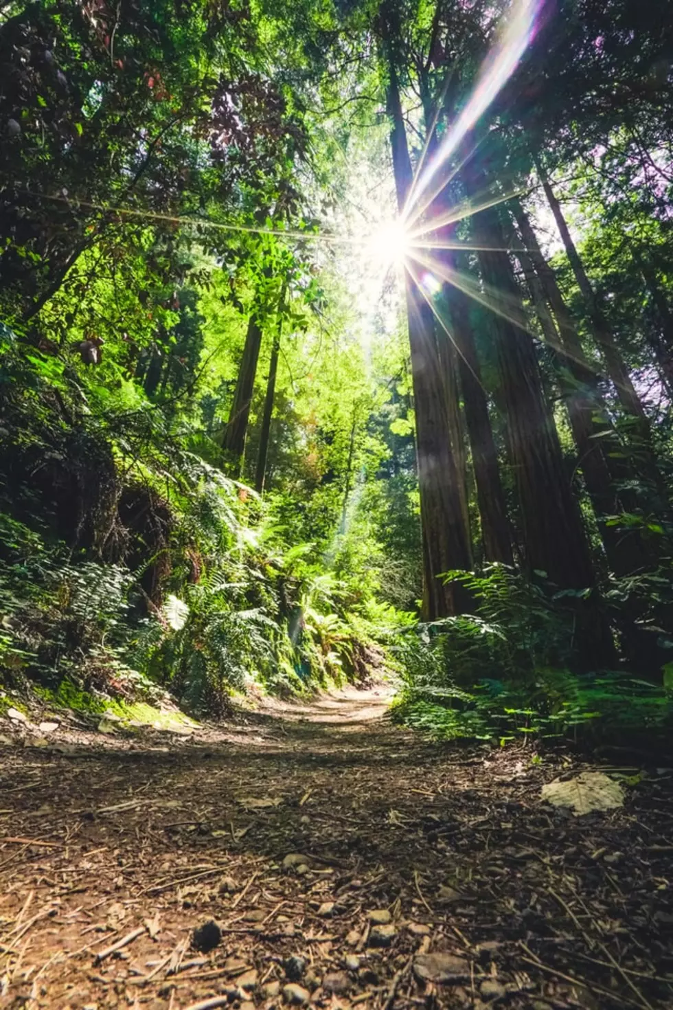 Photo by Eric Ward on Unsplash