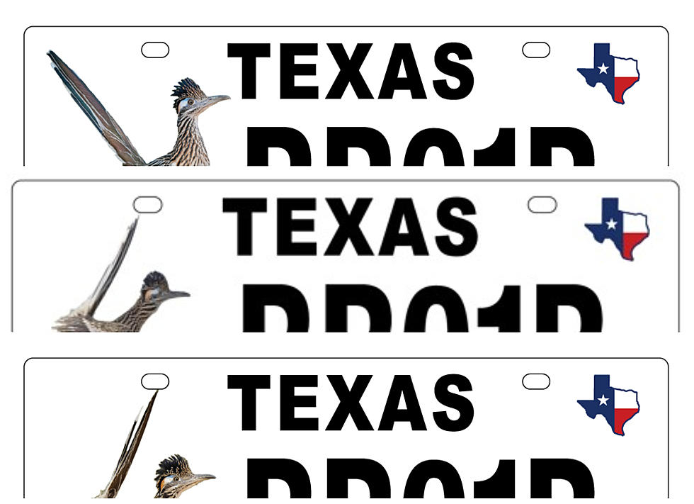 Texas Parks and Wildlife Seeks Your Vote on Road Runner Plates