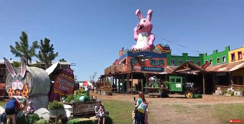 Family Fun Only a Skip and Hop Away to BunnyPalooza in Canton