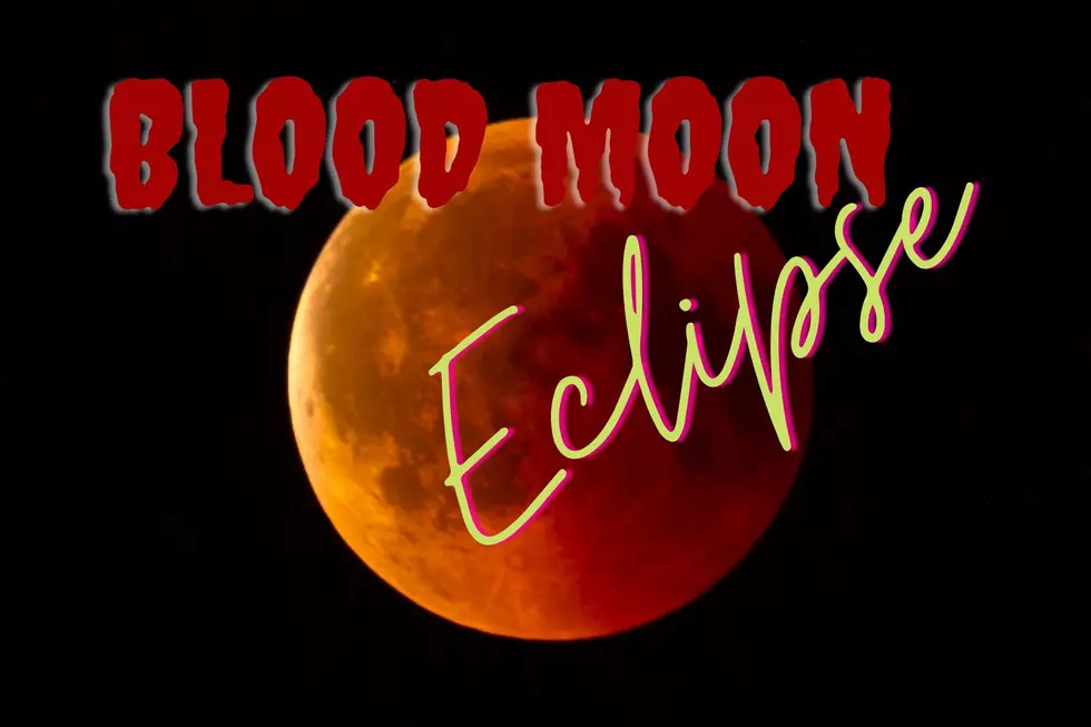 Don&#8217;t Miss The &#8216;Super Flower Blood Moon&#8217; Eclipse is This Weekend