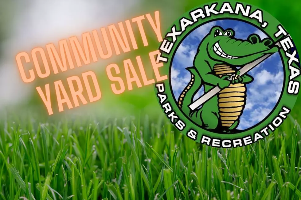 Big Big Yard Sale &#038; Electronics Recycling This Saturday at Spring Lake Park