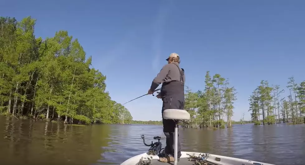 Millwood Lake in Arkansas Being Stocked With Florida Bass