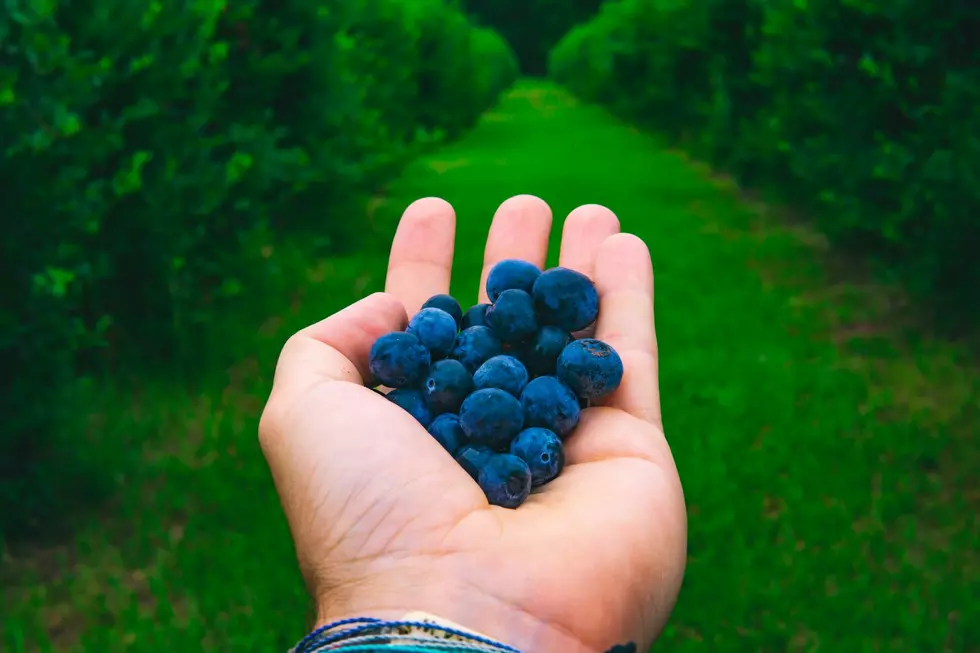 Joshua Woroniecki on Unsplash