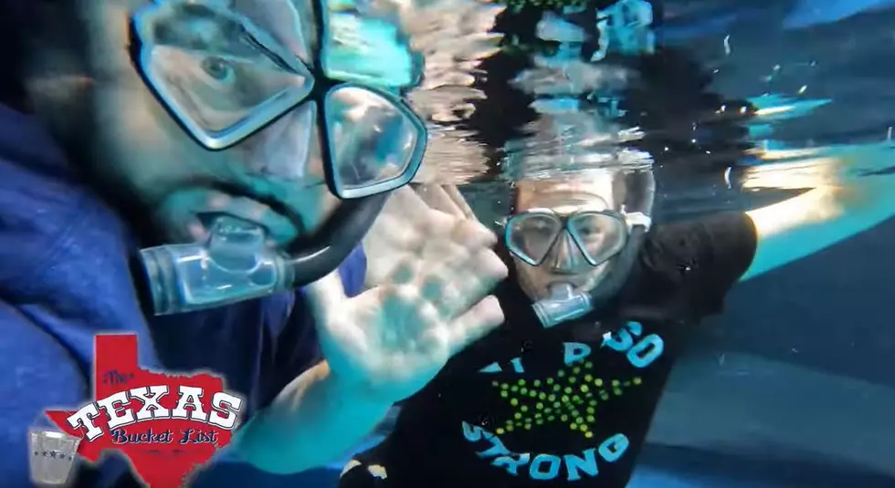 Swim With Sharks at Texas State Aquarium in Corpus Christi