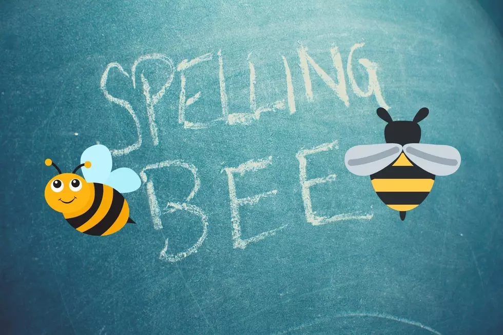 Texarkana Literacy Council Fun 'Youth & Adult Spelling Bee'