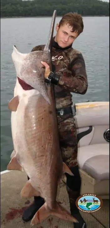 Did an Arkansas Man Just Break a World Record Spearfishing?