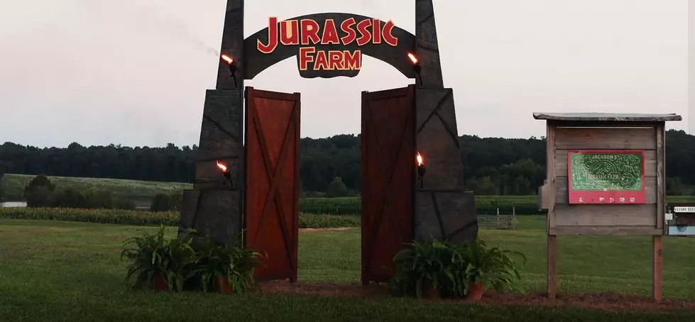 Family Fun at Jackson&#8217;s Jurassic Farm + Corn Maze in Arkansas