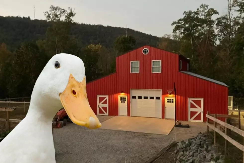 Fun Family Arkansas Getaway -Stay in Barn Loft & See Barn Animals