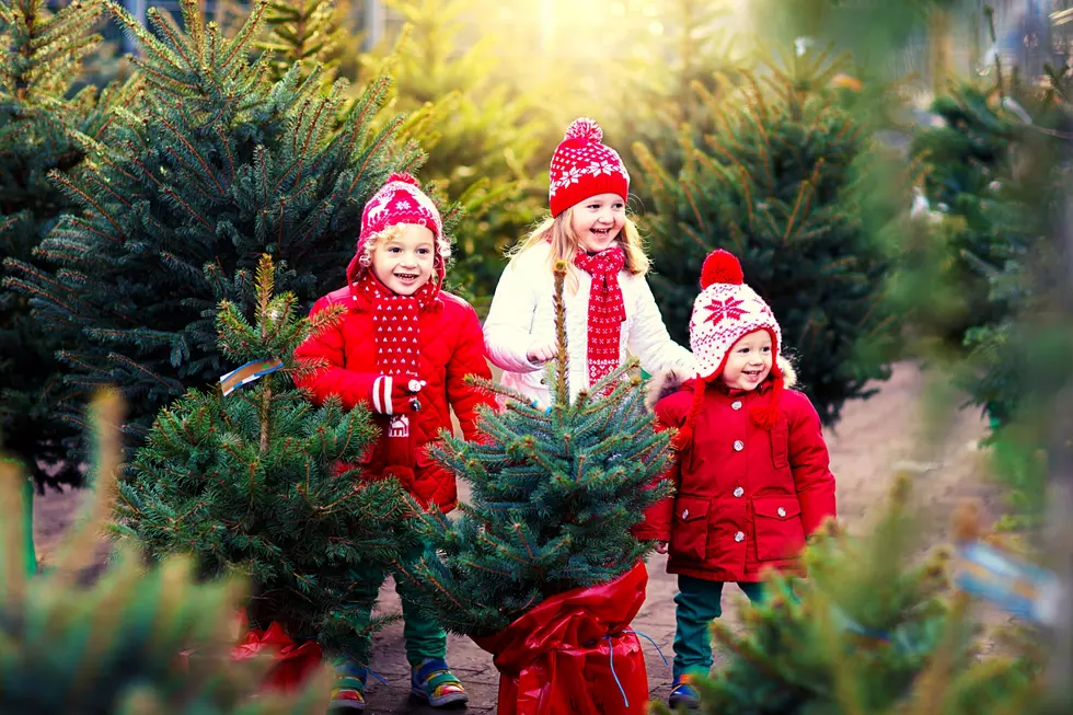 The Best Places to Find A Real Christmas Tree Around Texarkana