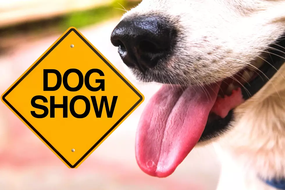 Calling All Dog Lovers! It’s the AKC Dog Show in Texarkana in February