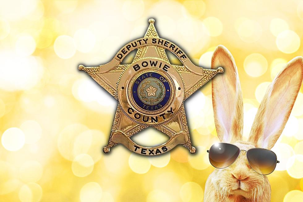 70 Arrests In Bowie County for Easter Week - Sheriff's Report Apr