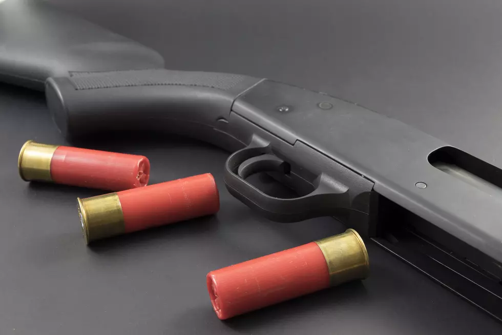 Shotgun and Shells