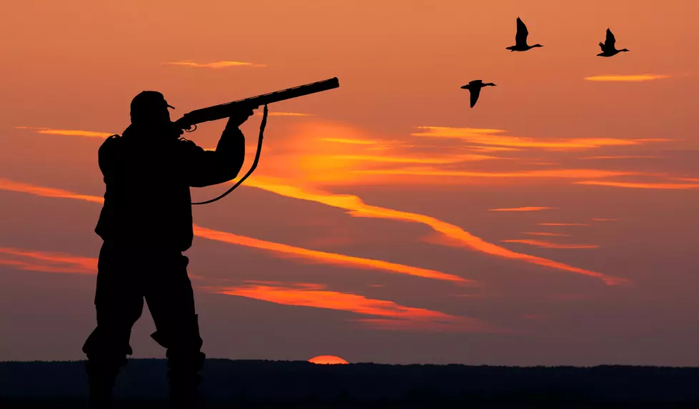 Silhouette of men on the hunting