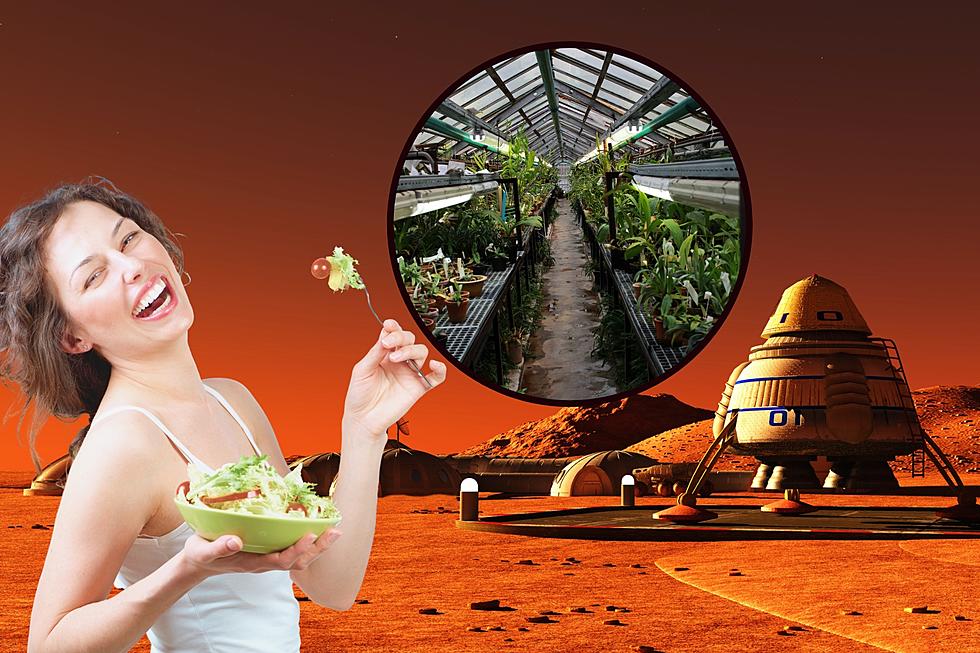 Put A Greenhouse on Mars? An Arkansas University is Working on it