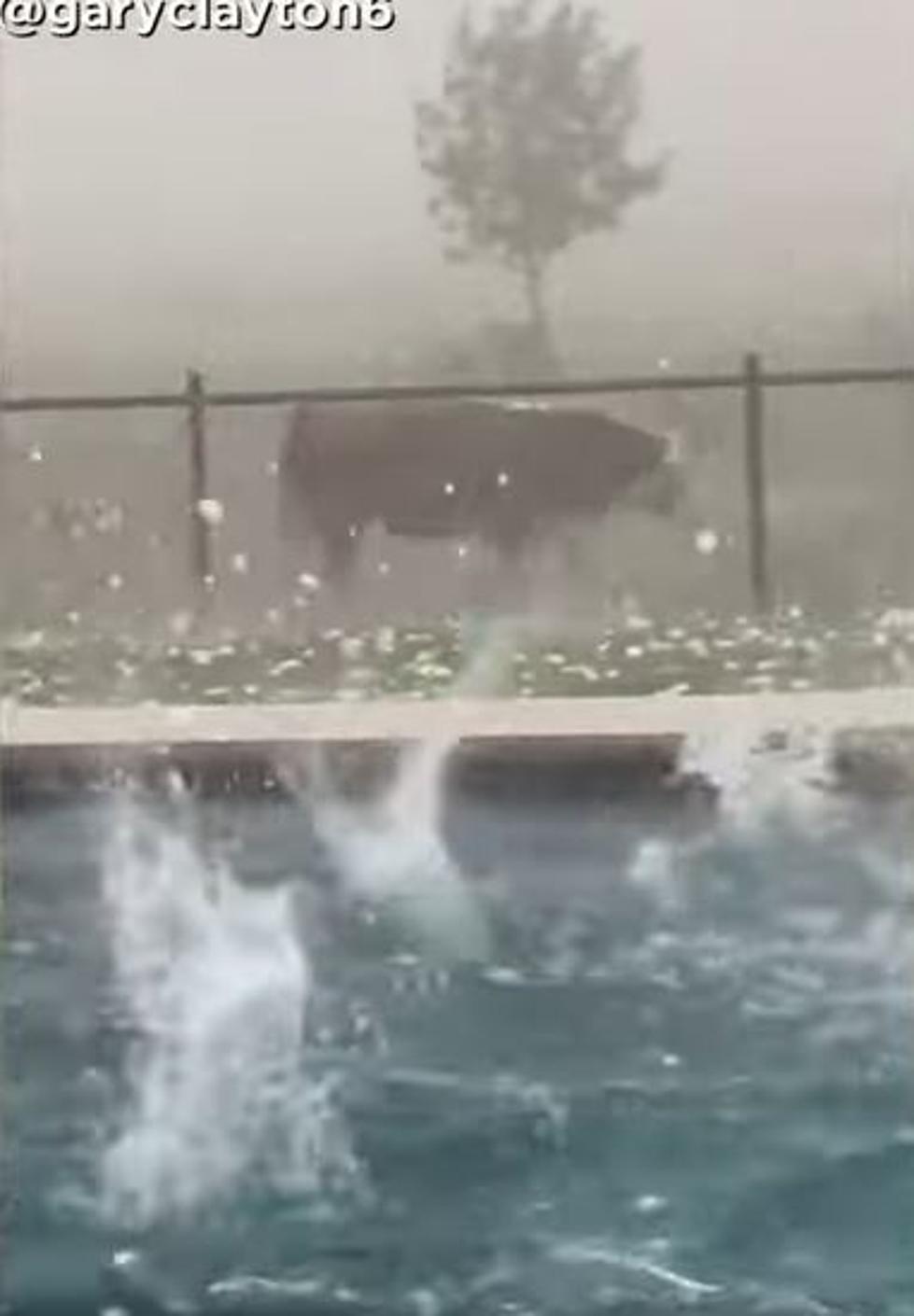 Cowabunga Dude! Cow Gets Pelted in Massive Hail Storm in Texas