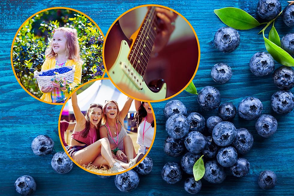 Don’t Miss This Insanely Berry Tasty Berry Festival in Arkansas in June