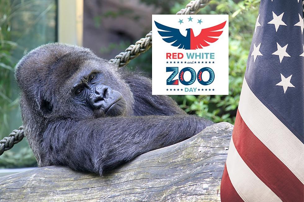 Red, White, and Zoo Memorial Day Weekend Celebration in Arkansas