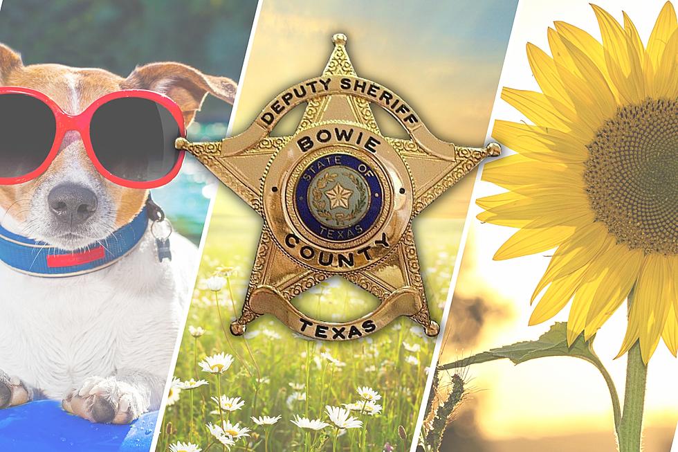 83 Arrests Last Week in Bowie County – Sheriff’s Report for 6/10
