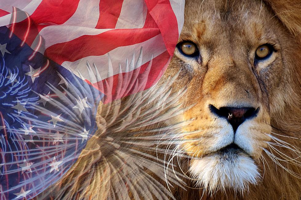 Enjoy ‘Let Freedom Roar’ Celebration at Little Rock Zoo July 1