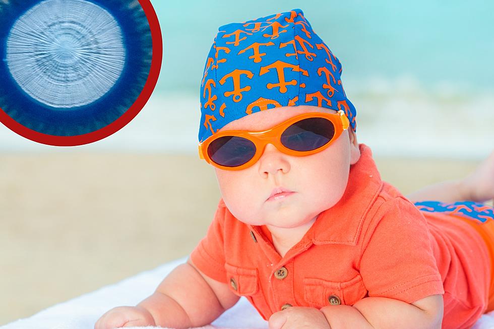 Pretty Blue Buttons On Texas Beaches, Don't Touch That!