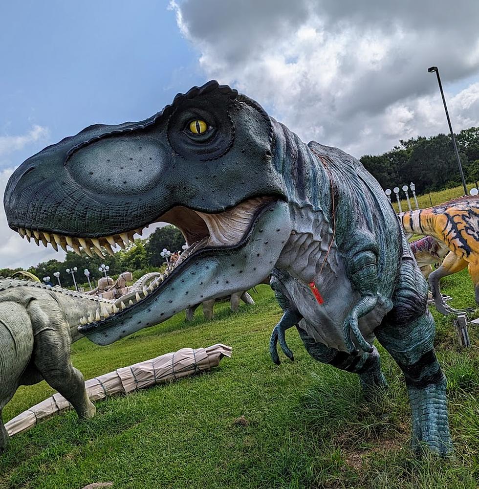 T-REX RESCUE MISSION!, New News