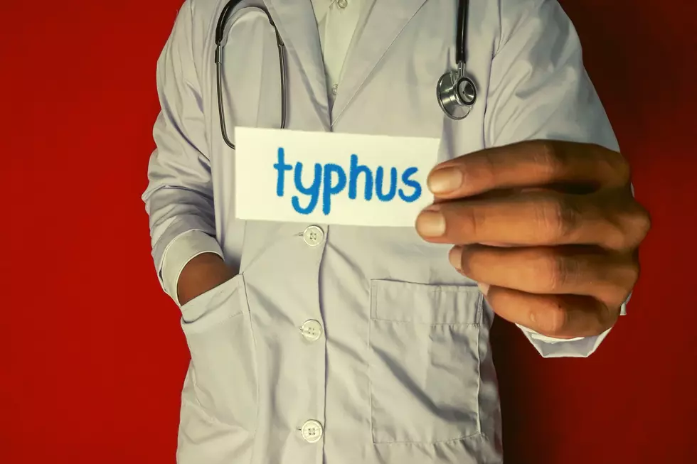 Typhus - Canva