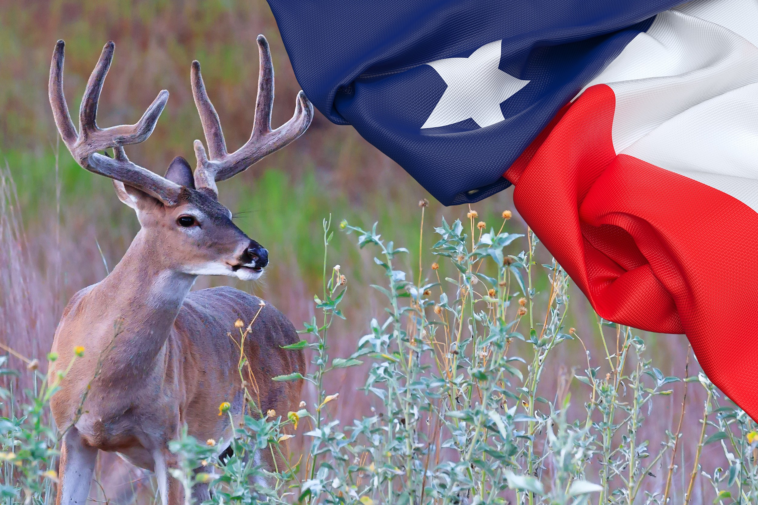 Deer American Flag  Flagwix