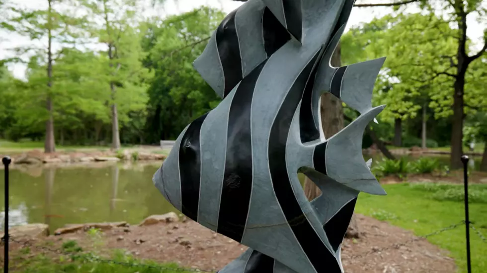 Ft.Worth Botanic Garden, YouTube