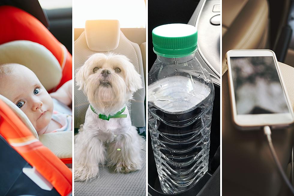 18 Things To Never Leave In Your Hot Car In Arkansas This Summer