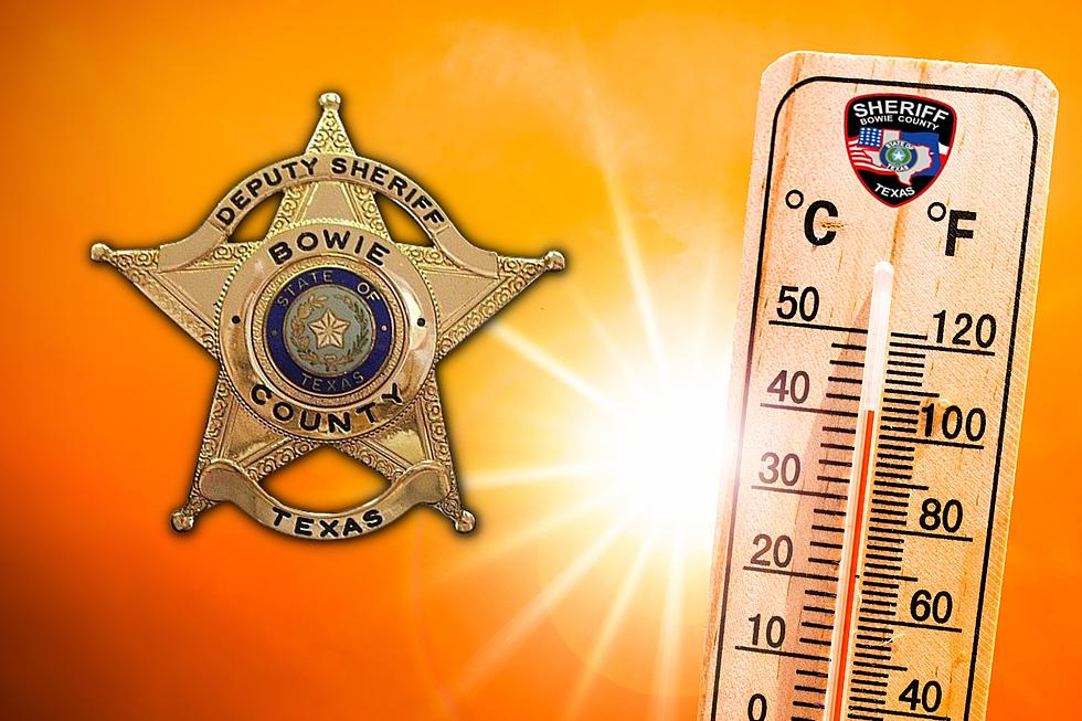 60 Arrested Last Week - Bowie County Sheriff's Report for 8/3