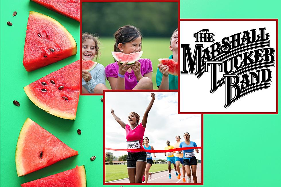 Hope Watermelon Festival Family Fun & The Marshall Tucker Band in Concert
