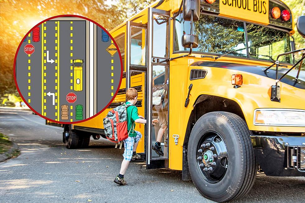 School Starts Soon, Here's When to Stop For School Buses!