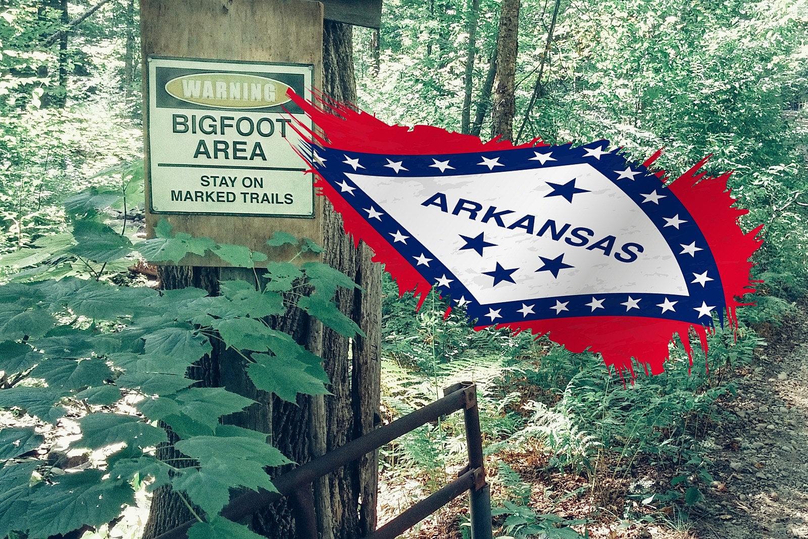 The history of Bigfoot in Arkansas