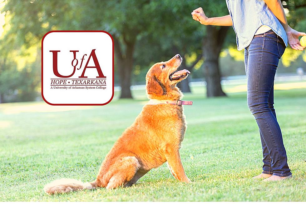 Bad Dog? Register For Dog Obedience Training Courses Held at UAHT
