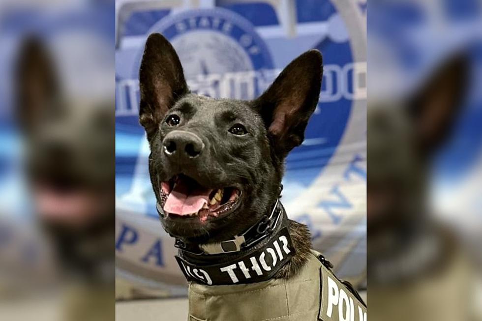 This Texarkana K-9 Officer Receivces His Very Own Bullet Proof Vest