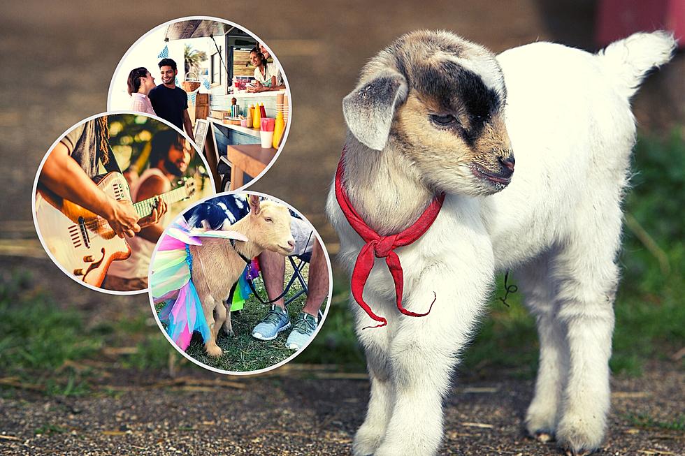 It's Cuteness Overload and Fun at The Goat Festival in Arkansas 
