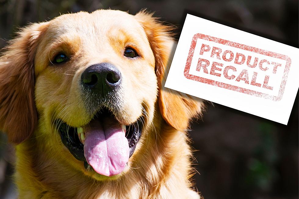 Dog Food Recall Due to Possible Salmonella in Arkansas & Texas