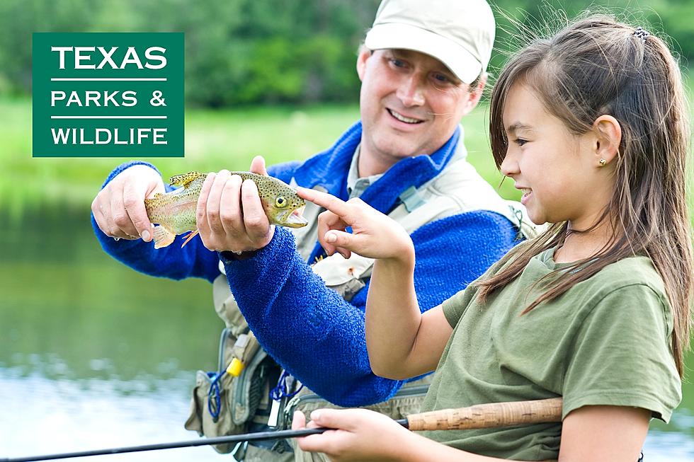 Rainbow Trout On The Way to Texarkana's Spring Lake Park  