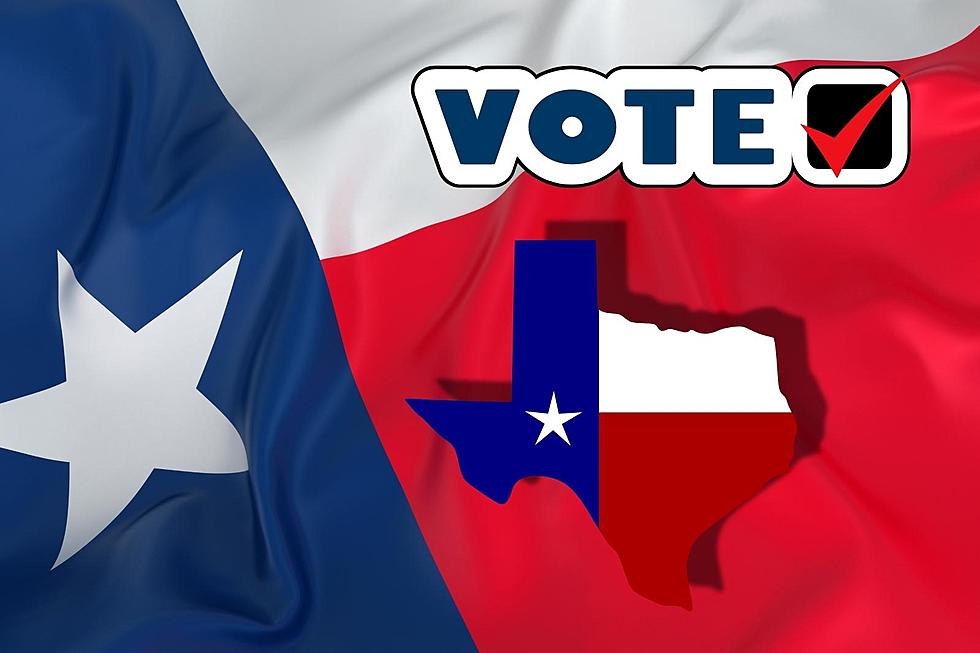 Election Day Is Tuesday, November 7 &#8211; Texas Early Voting Is Now!