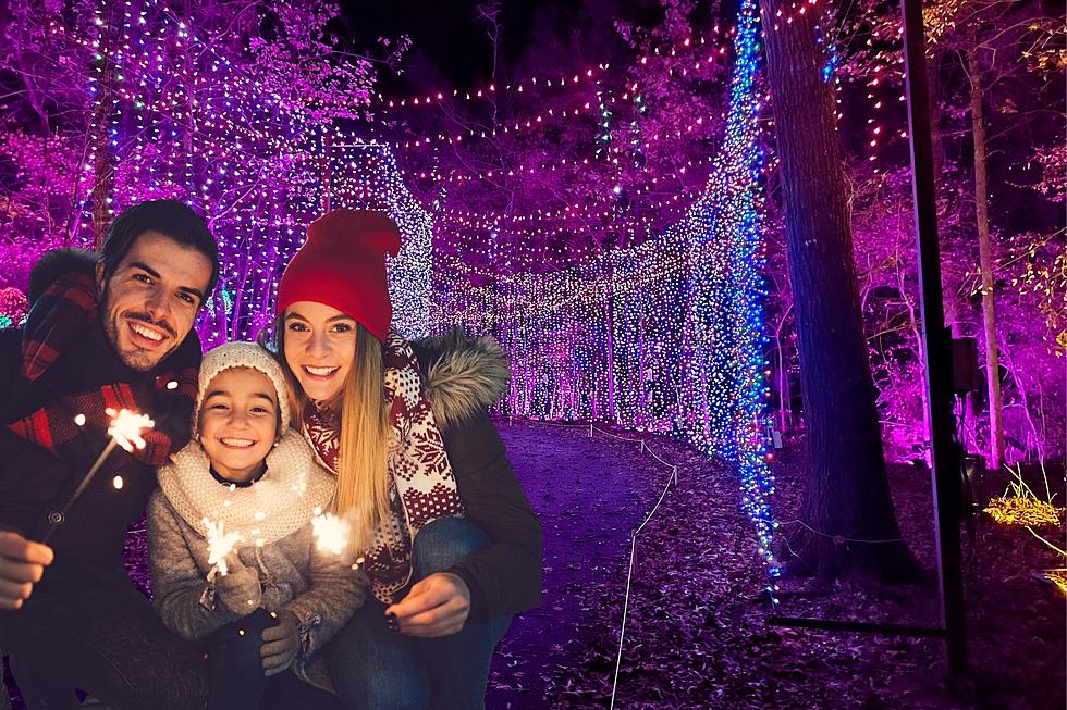 Take a Walk Through the Trail of Lights Opening Weekend Nov. 17