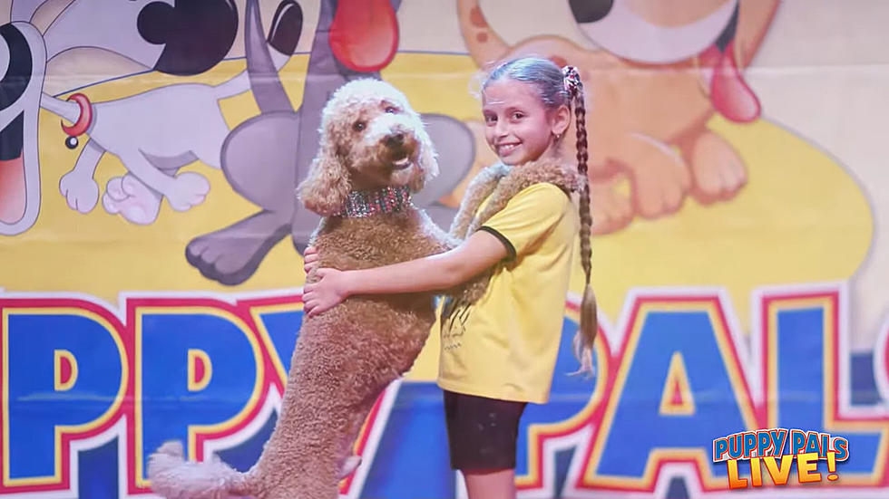 Seen on America's Got Talent Puppy Pals Live Coming to Texarkana