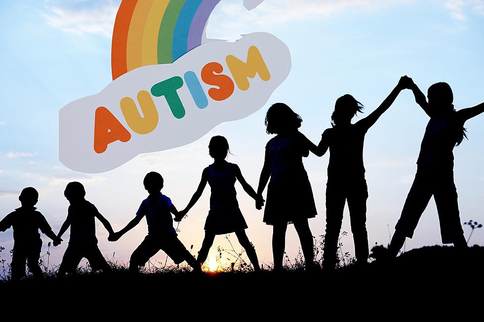 Free & Informative: Texarkana Autism Inclusion Expo January 27