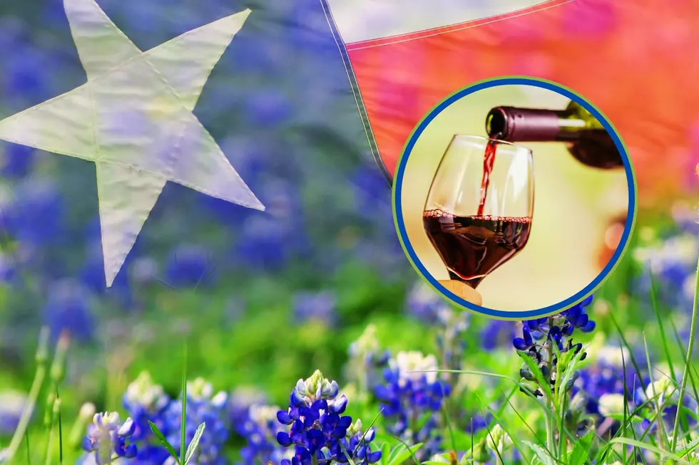 Wildflowers & Wine At The Wildflower Trails In Avinger Texas