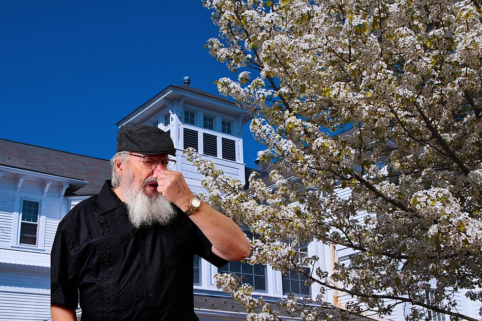 Is This Smelly Tree Banned in Arkansas?