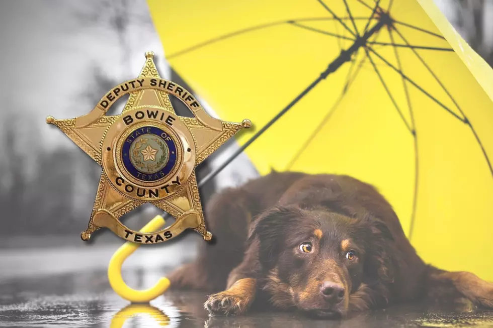 April BCSO - Canva