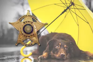 82 Arrests – Bowie County Sheriff’s Report for April 1 – 7