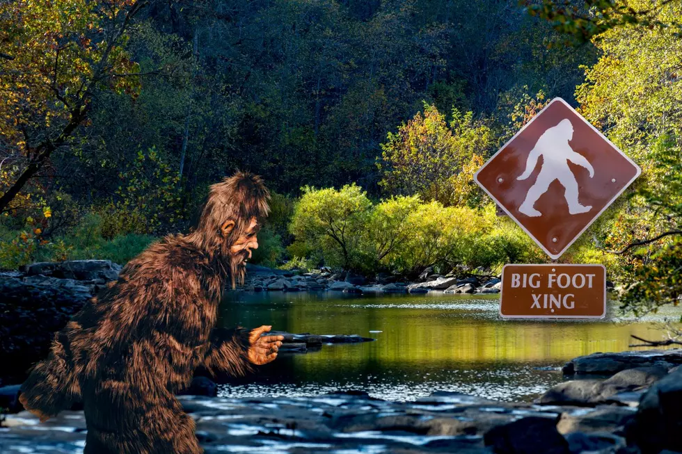 Celebrating 53 Years of the Fouke Monster &#038; Bigfoot Fever