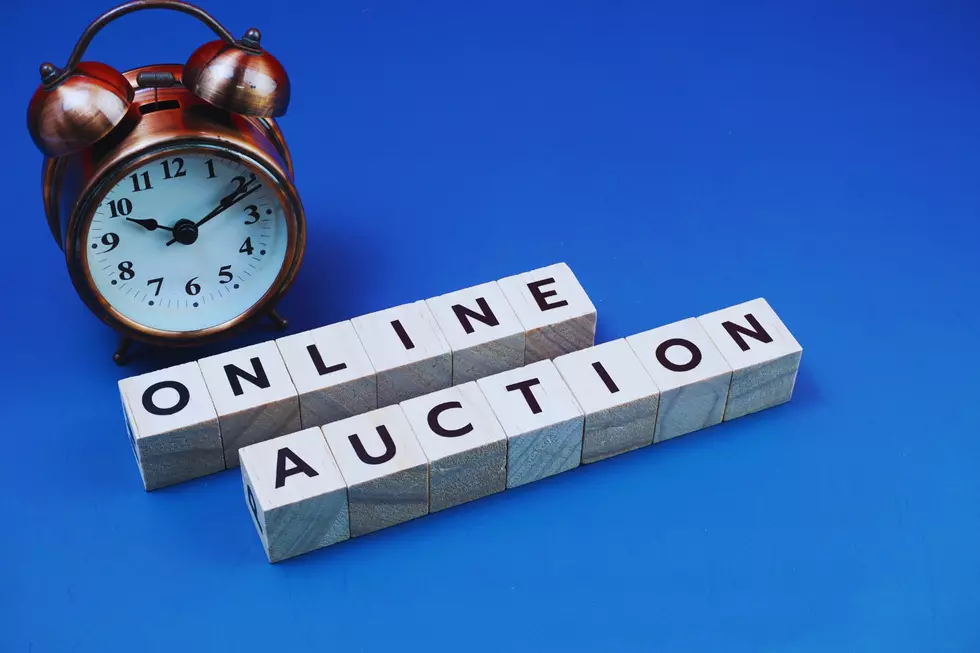 Hospice of Texarkana Gears up for East Texas Day Online Auction
